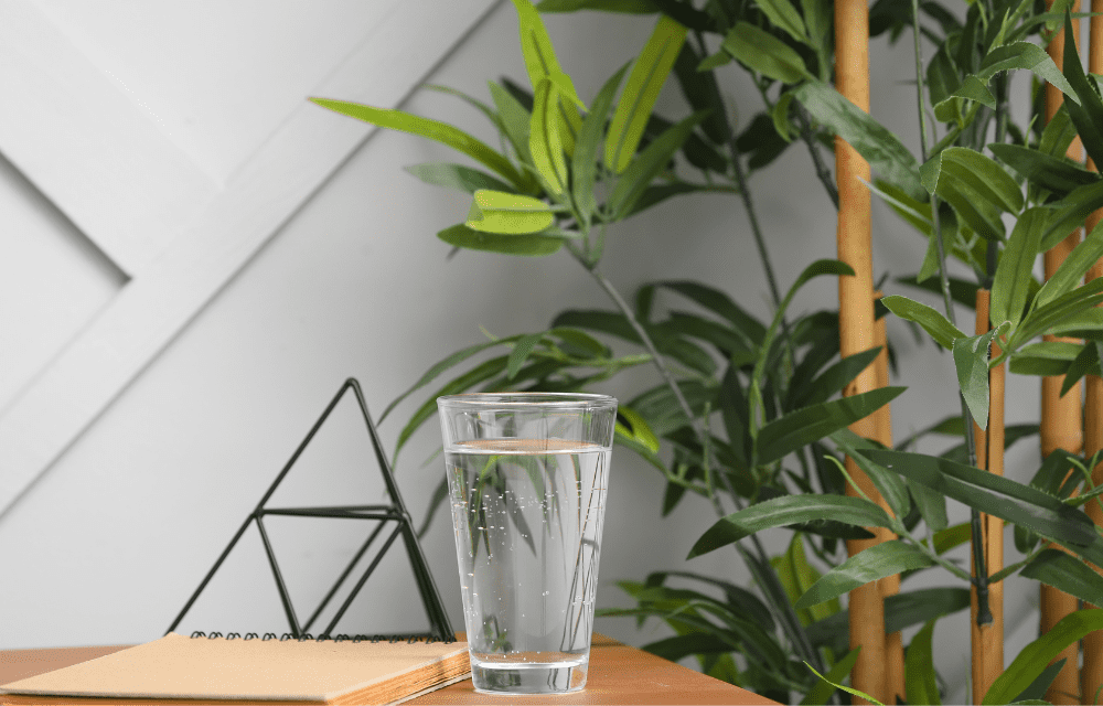 Water and plants in the workplace to encourage wellness.