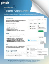 Team Accounts